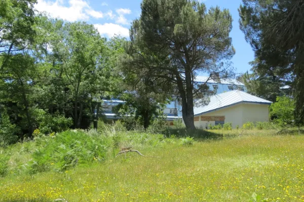 Foto 4. Un senior cohousing en armonía con la naturaleza